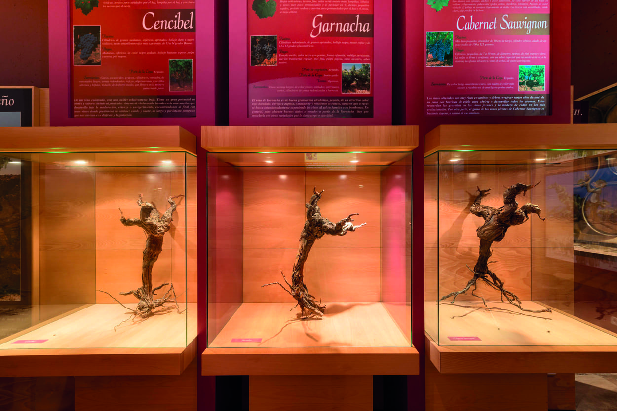 Museo del vino de Valdepeñas - Ciudad Real